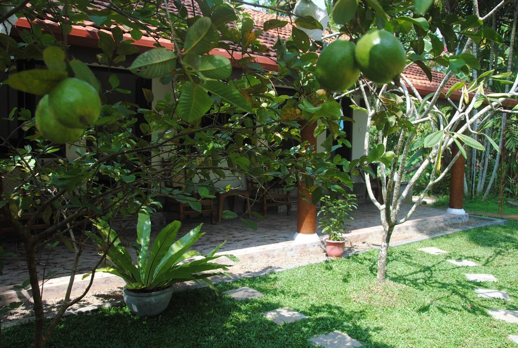 Aknara Rest Ξενοδοχείο Weligama Εξωτερικό φωτογραφία